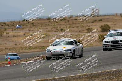 media/May-03-2025-Lucky Dog Racing (Sat) [[206de64b9d]]/Turn 6 (150pm-230pm)/